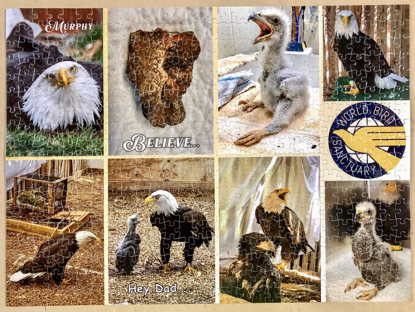 Murphy Jigsaw Puzzle - 500 piece