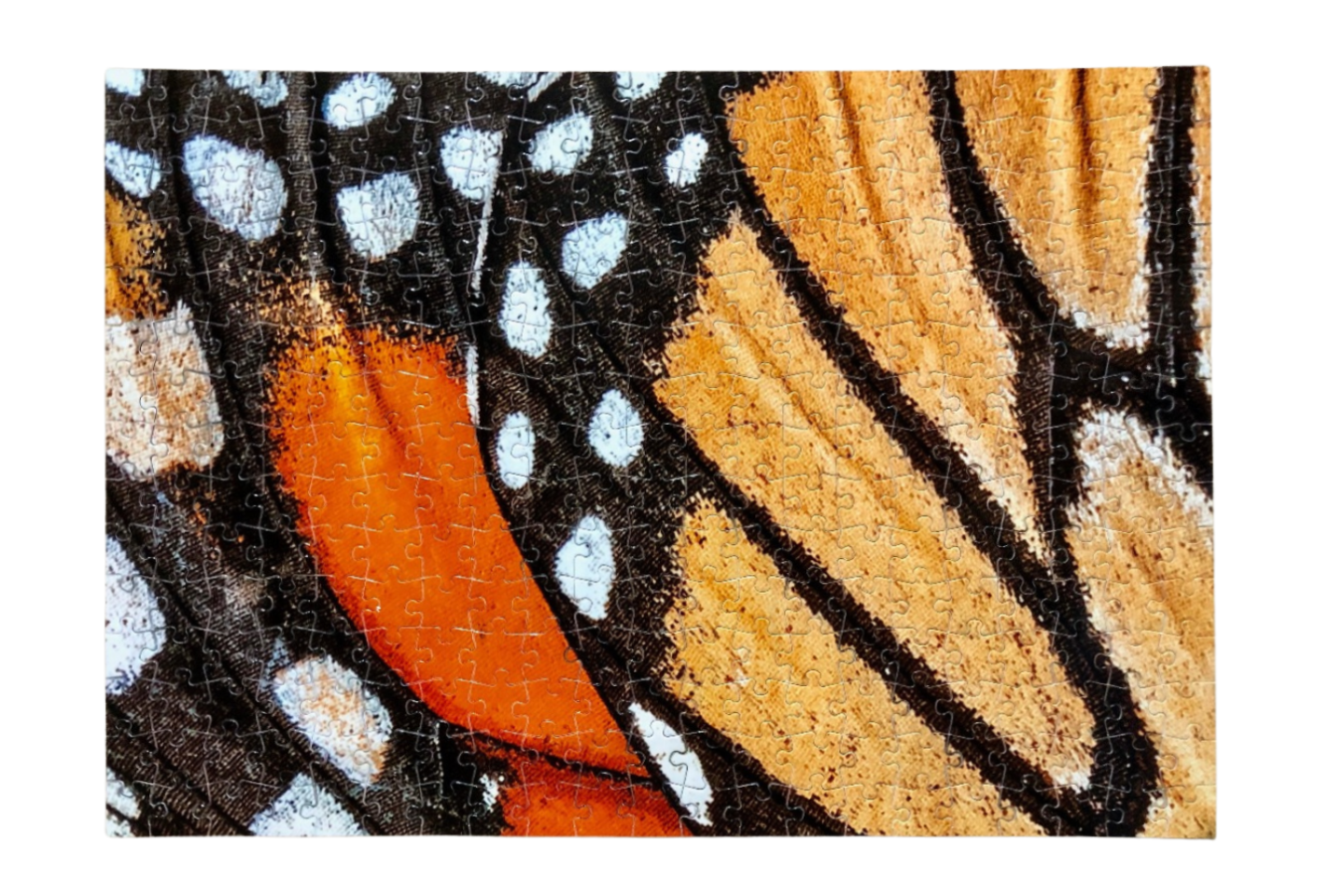 315 Piece Custom Puzzle