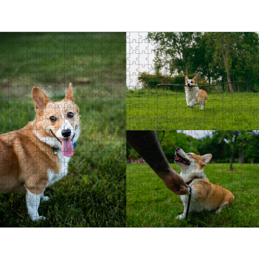 500 Piece Custom Puzzle Collage - 3 Photos