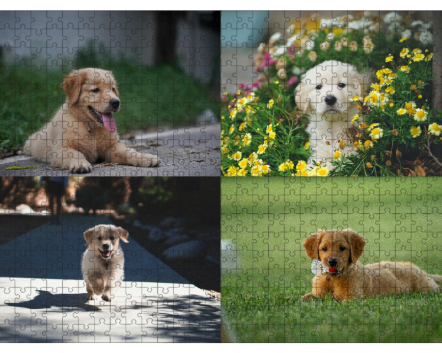 500 Piece Custom Collage Puzzle - 4 Photos