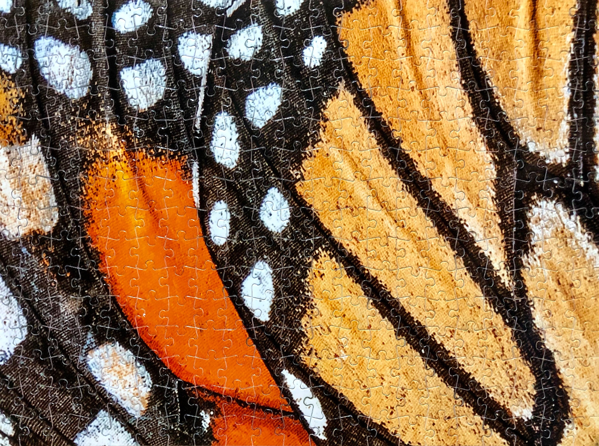 315 Piece Custom Puzzle