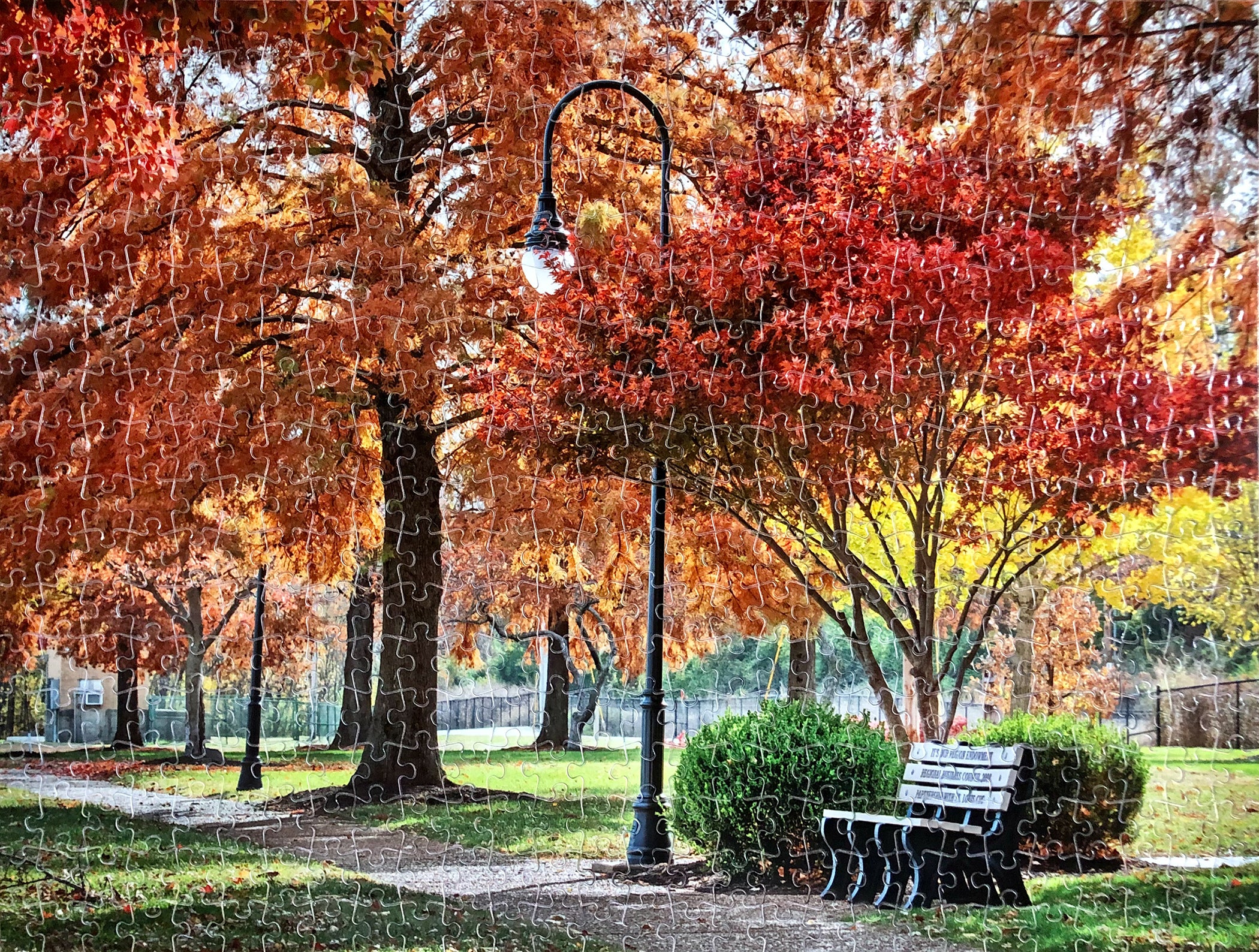 500 Piece Custom Puzzle