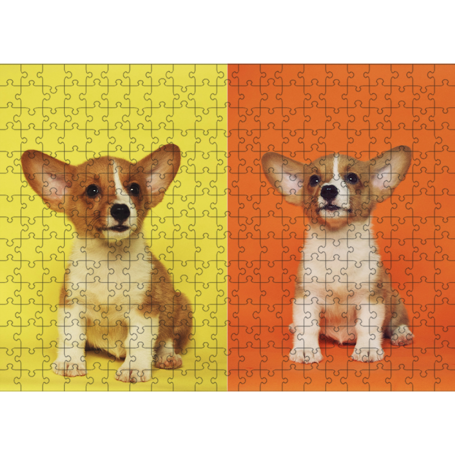 315 Piece Custom Puzzle Collage - 2 Photos