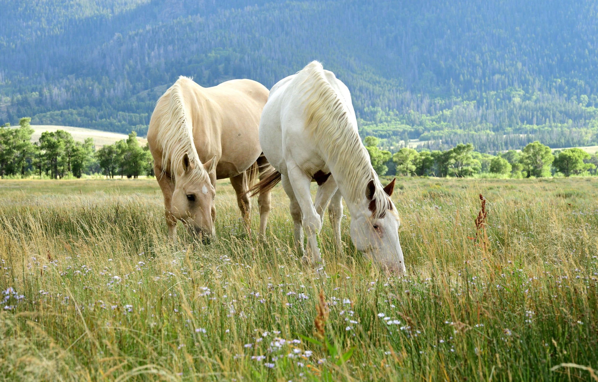 After professional editing