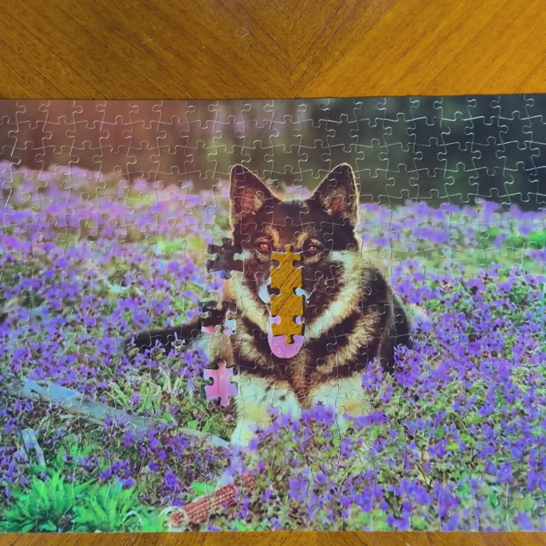 315 Piece Custom Puzzle