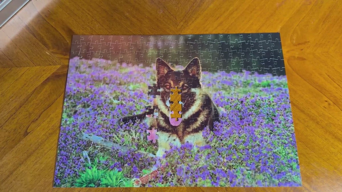 Custom Photo Puzzle Video