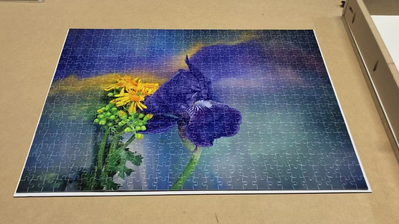 500 piece clearance puzzles